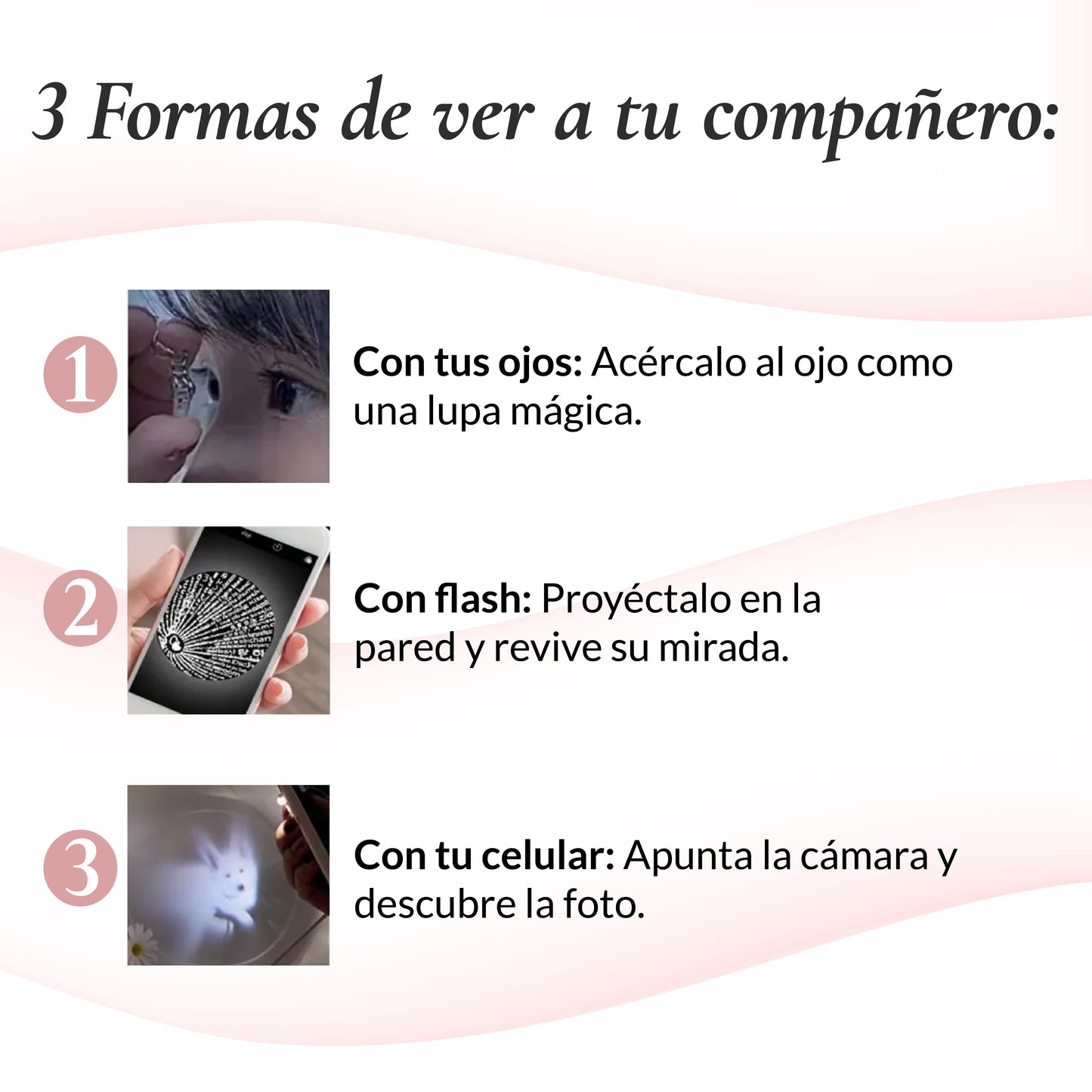 Collar Soulens™ con Foto Proyectable