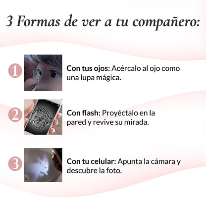 Collar Soulens™ con Foto Proyectable